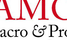 Foliothumb10