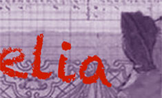 Foliothumb6